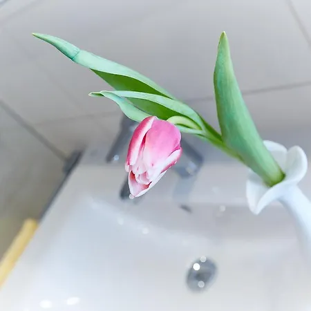 Angermeier * Oberstdorf