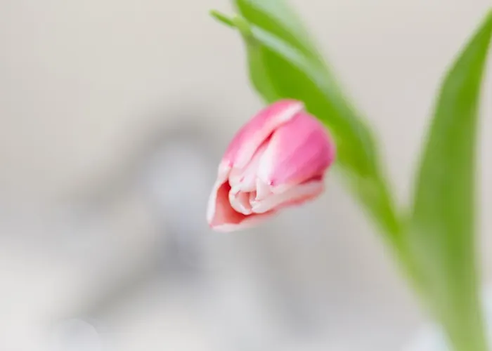 Angermeier Apartamento *